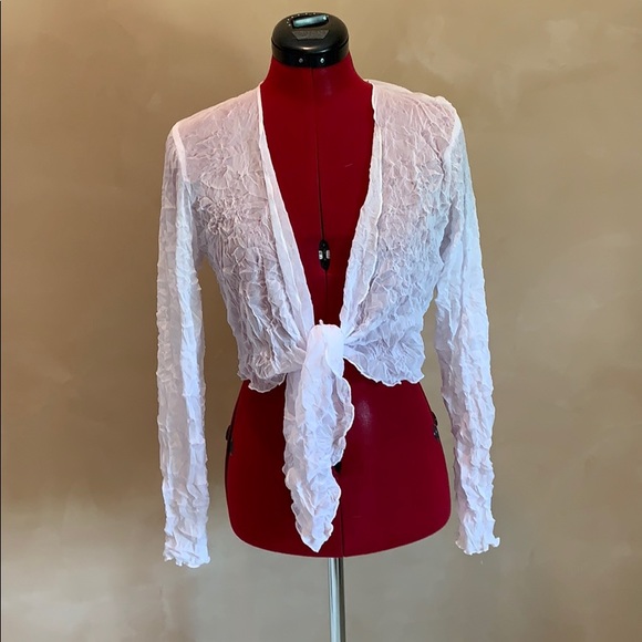 Tops - Sheer White Blouse Size 10